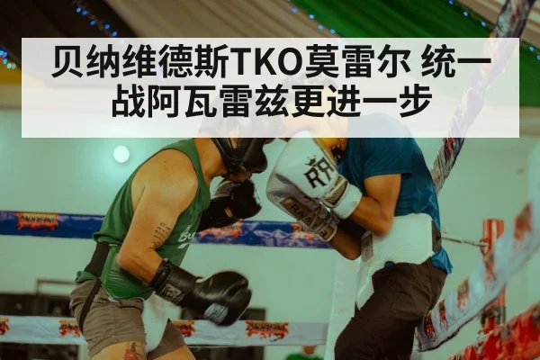 贝纳维德斯TKO莫雷尔 统一战阿瓦雷兹更进一步